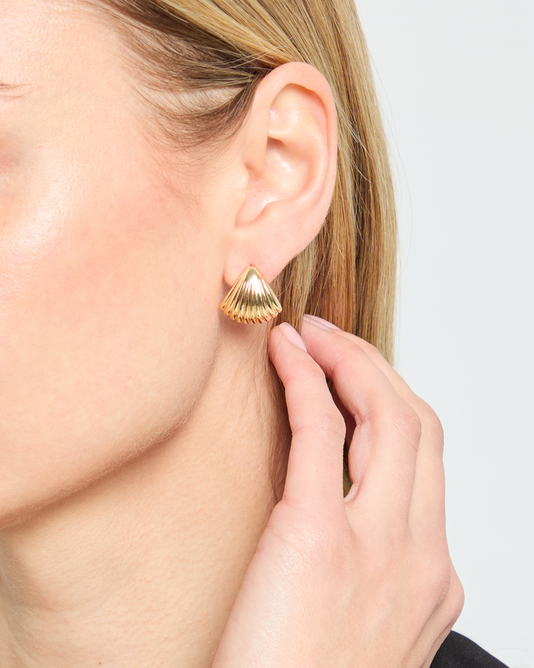 Seashell Stud Earrings