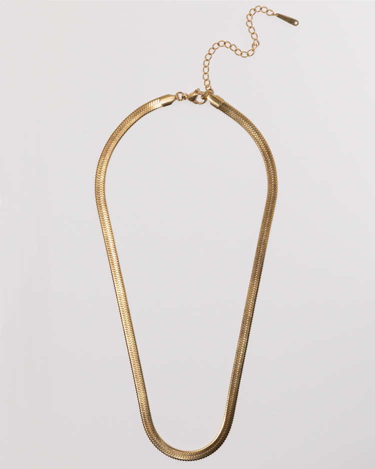 Layering Snake Chain Necklace